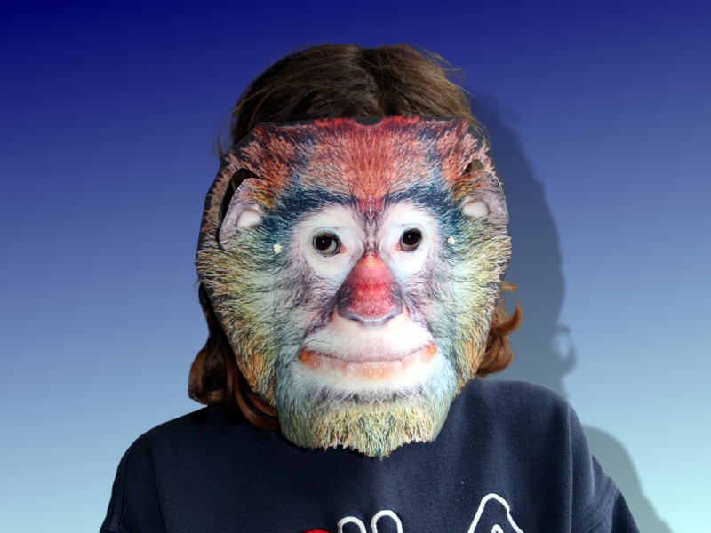 Tiermaske Affe Bimbo