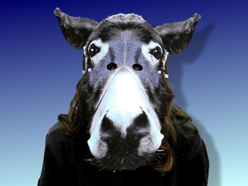 Tiermaske Prof. Dr. Esel